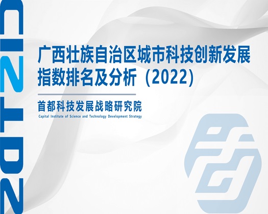 美女主播操鸡巴【成果发布】广西壮族自治区城市科技创新发展指数排名及分析（2022）